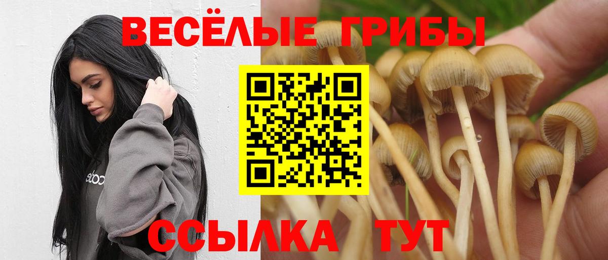 купить наркоту  Вход с VPN  Галлюциногенные грибы ЛСД  Дятьково  Псилоцибиновые грибы Psilocybine cubensis 